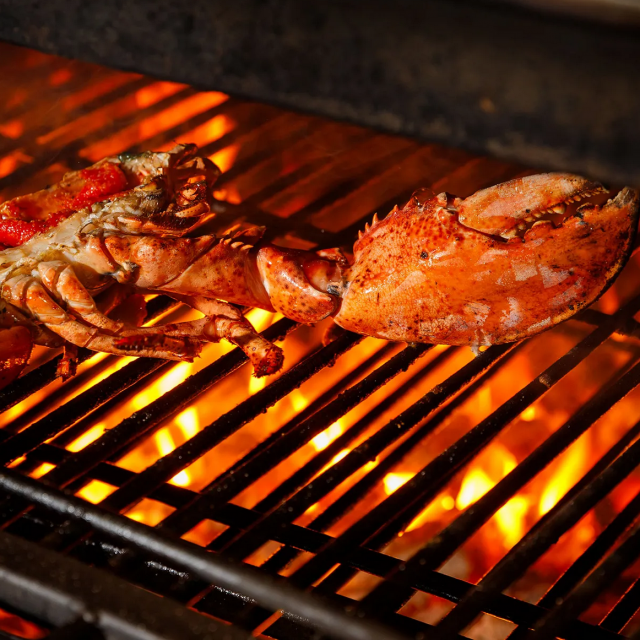 驢子餐廳歡慶 15 歲！招牌「爐烤波士頓龍蝦燉飯」華麗升級只要 880 元-上報